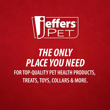 Jeffers Cactus Natural Rubber Dental Chew Toy for Dogs