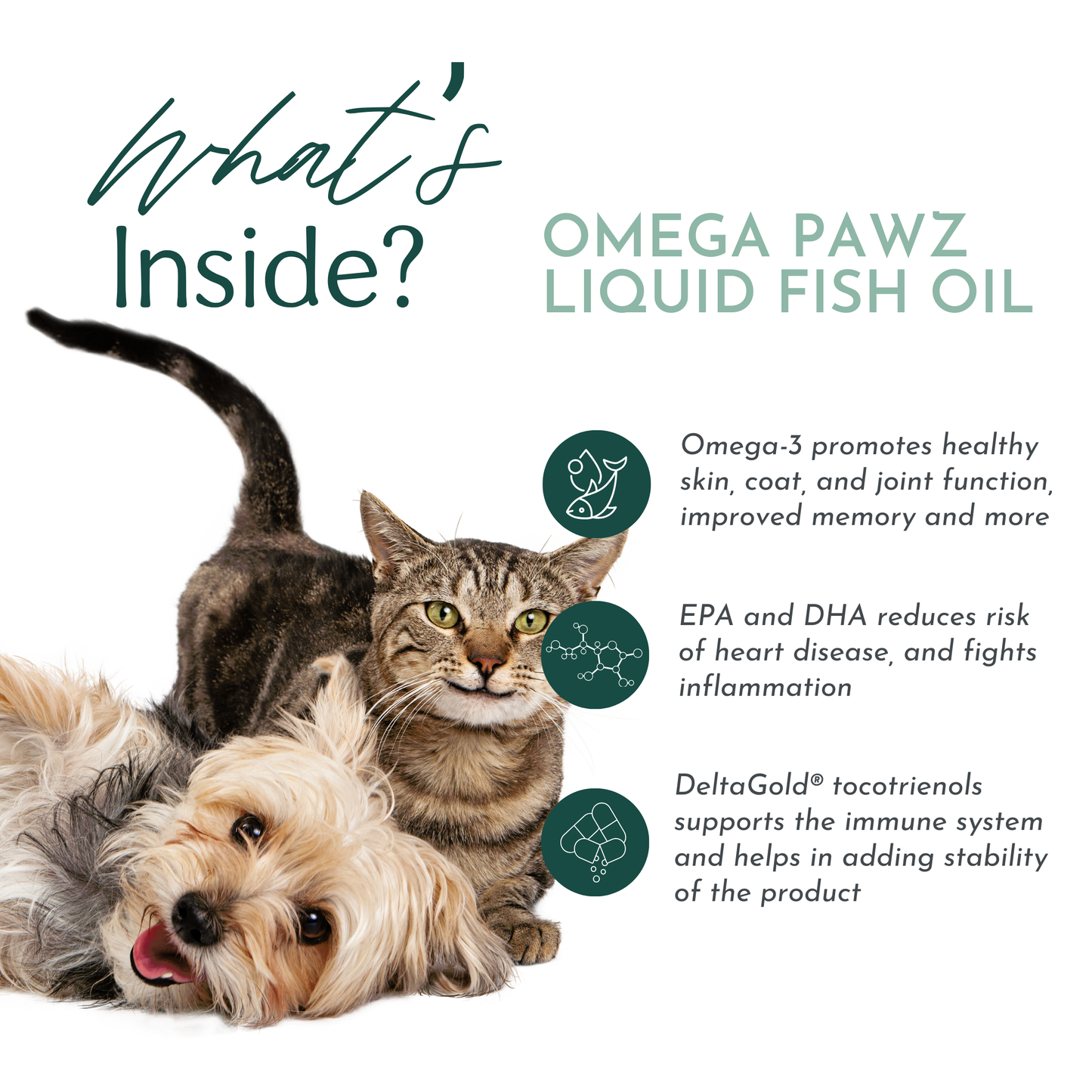 Omega Pawz - Liquid Omega 3 Oil for Cats and Dogs