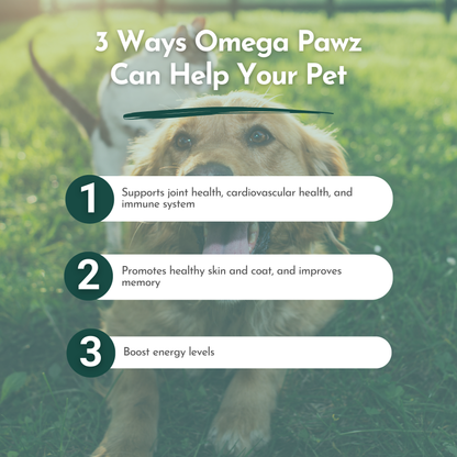 Omega Pawz - Liquid Omega 3 Oil for Cats and Dogs