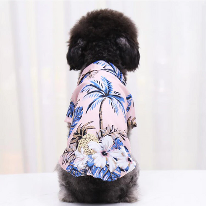 Back view of a small curly coated dog wearing a pink tropical pet shirt