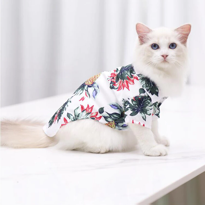 White cat wearing a white pineapple print pet shirt while sitting indoors