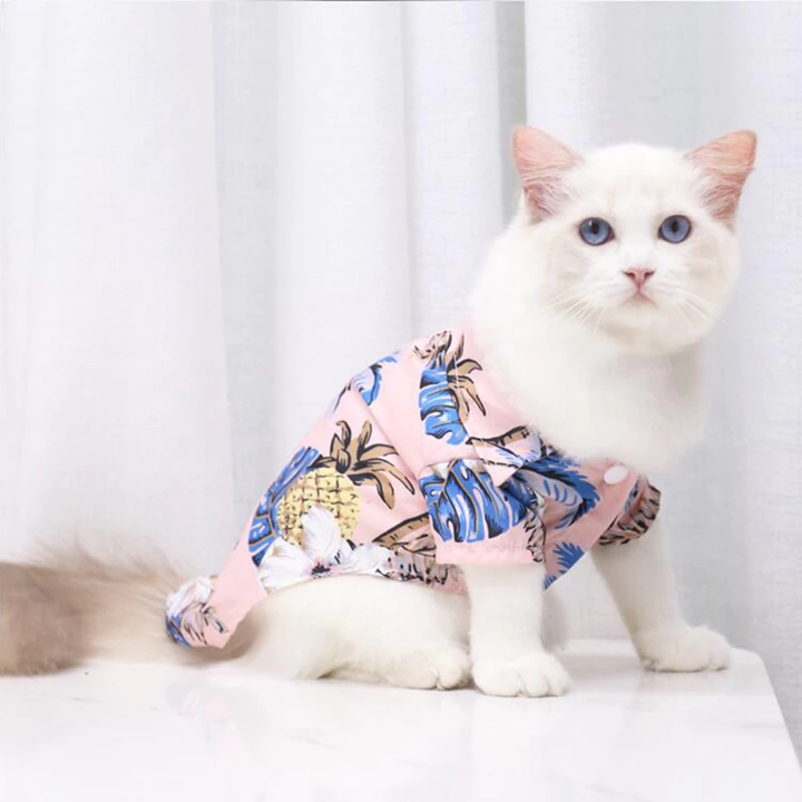 White cat wearing a pink tropical pet shirt while sitting indoors
