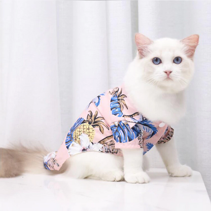 White cat wearing a pink tropical pet shirt while sitting indoors