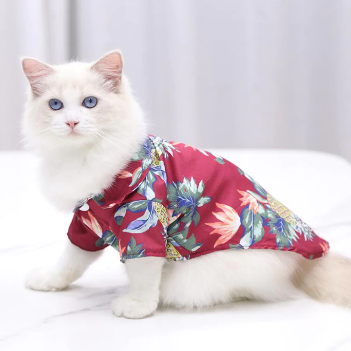 White cat wearing a red tropical pet shirt while sitting indoors