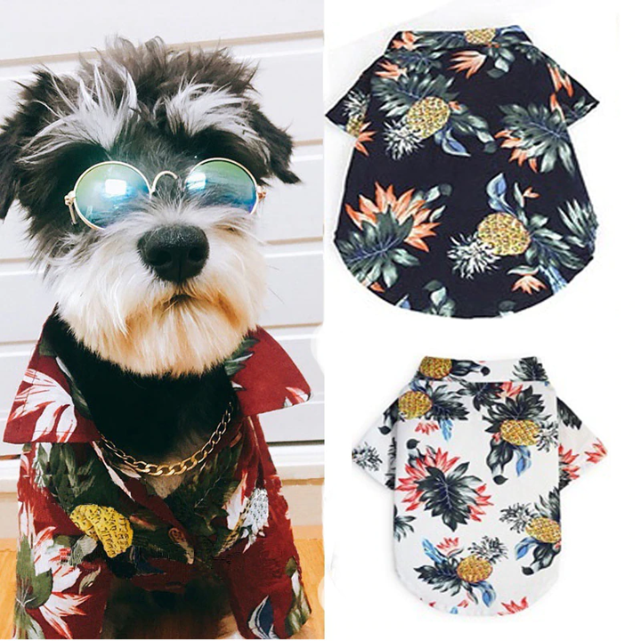 Dog wearing a red tropical shirt and sunglasses beside navy and white pet shirts