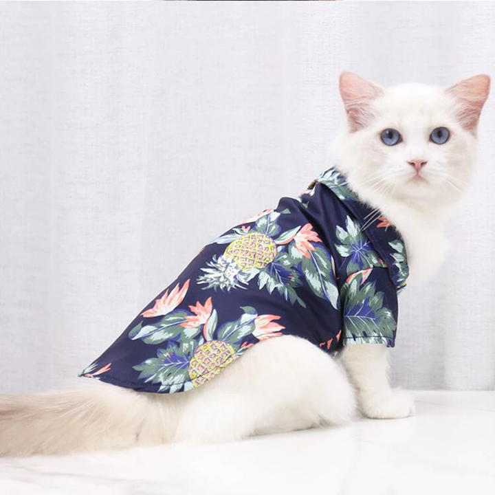 White cat wearing a navy pineapple print pet shirt while sitting indoors