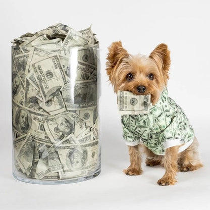 Small dog wearing a money print hoodie beside a jar filled with dollar bills