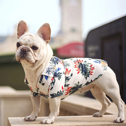 White dog standing outdoors in a white pineapple print pet shirt