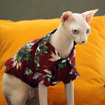 Hairless cat wearing a red tropical pet shirt on a yellow cushion
