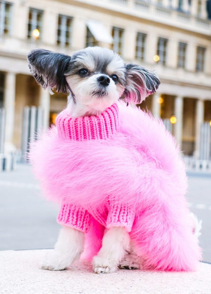 Small black-and-white dog wearing a pink fluffy turtleneck sweater outdoors