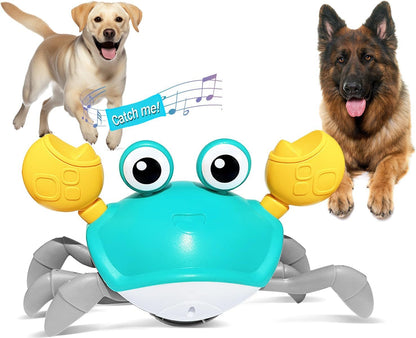 Interactive Crawling Crab Toy with Music & Lights