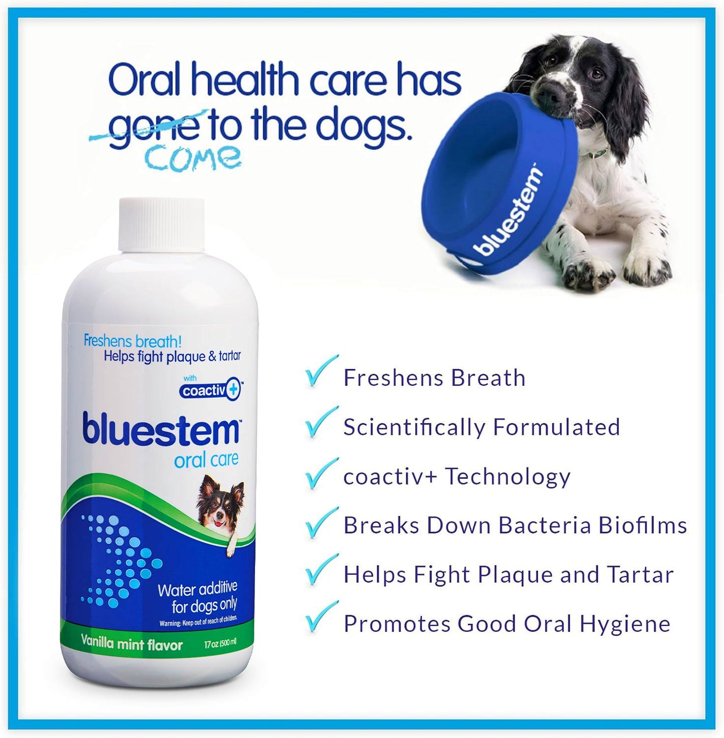 Bluestem Vanilla-Mint Water Additive for Dogs Only