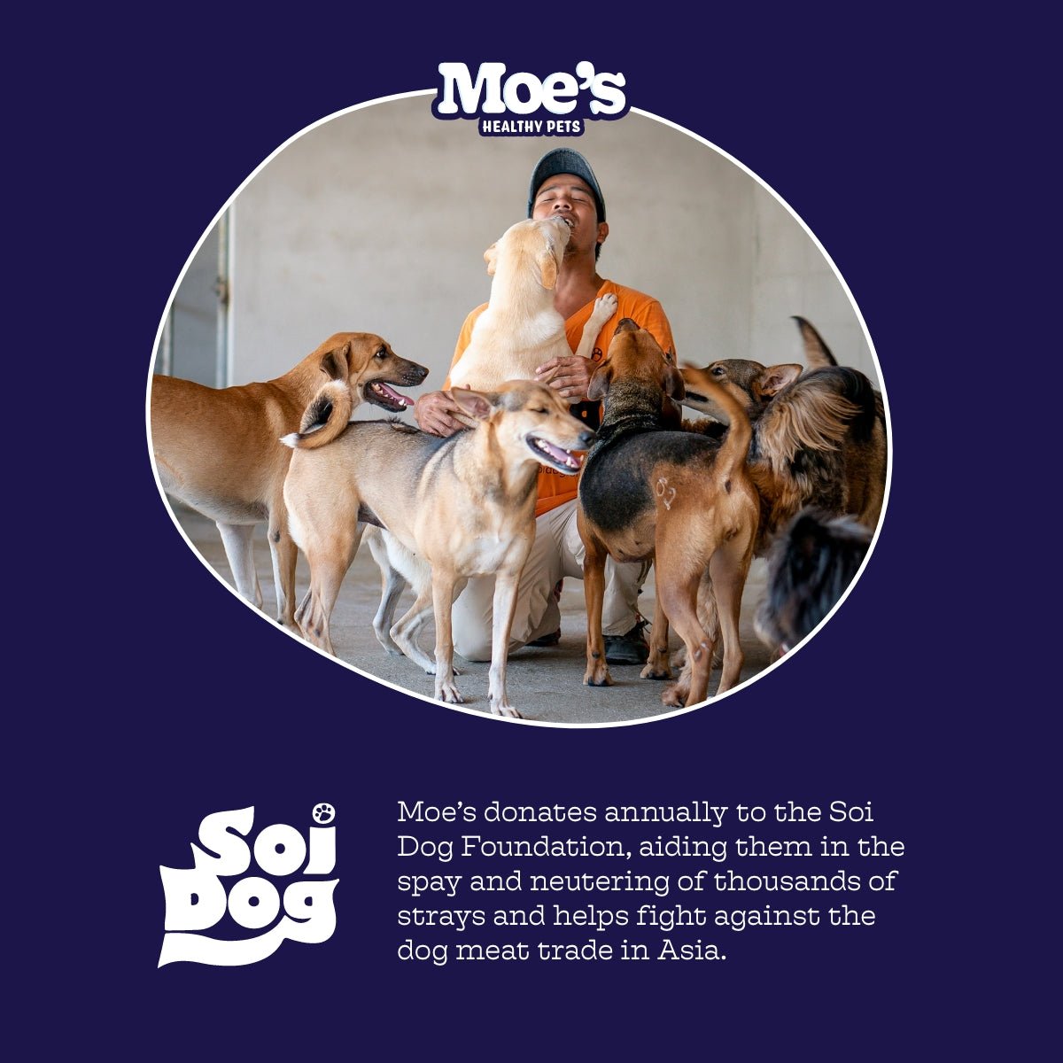 Moe's Chillout Chews - Dog Calming Supplements with Hemp & Chamomile