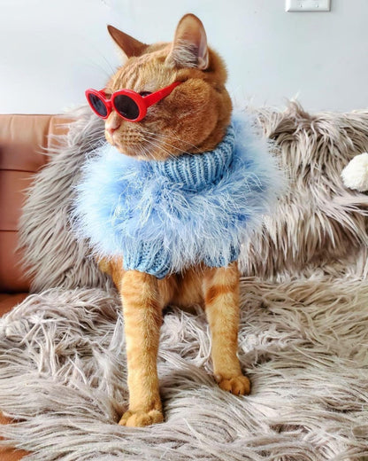 Orange tabby cat wearing red sunglasses and a blue fluffy turtleneck sweater on a shaggy chair