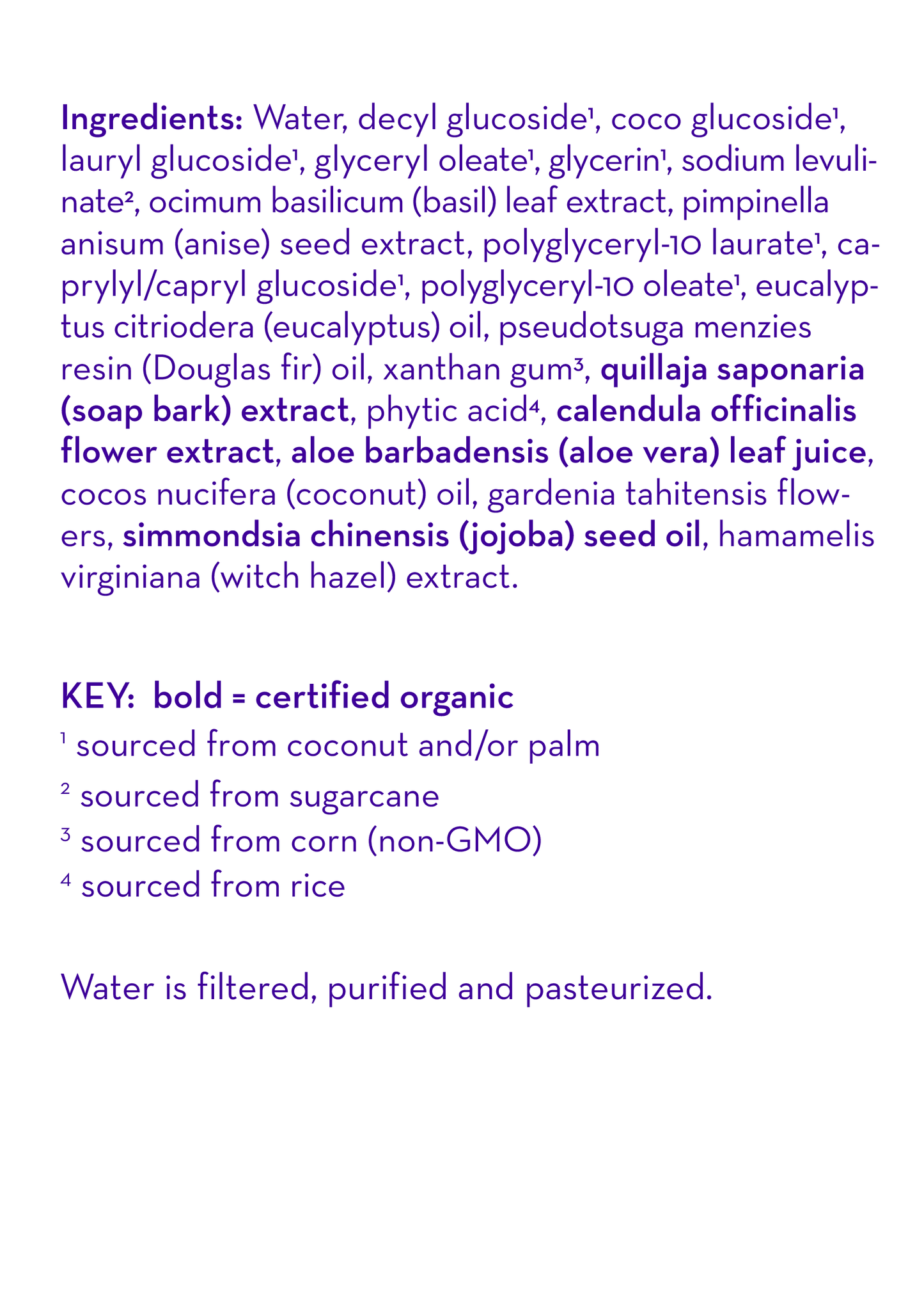 California Baby Eucalyptus Ease™ Moisturizing Handwash