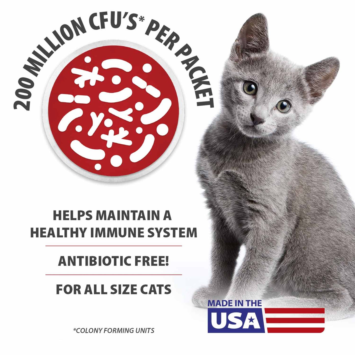 Jeffers BELLY BUDDY Probiotic Supplement Packets for Cats