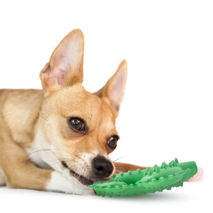 Jeffers Cactus Natural Rubber Dental Chew Toy for Dogs