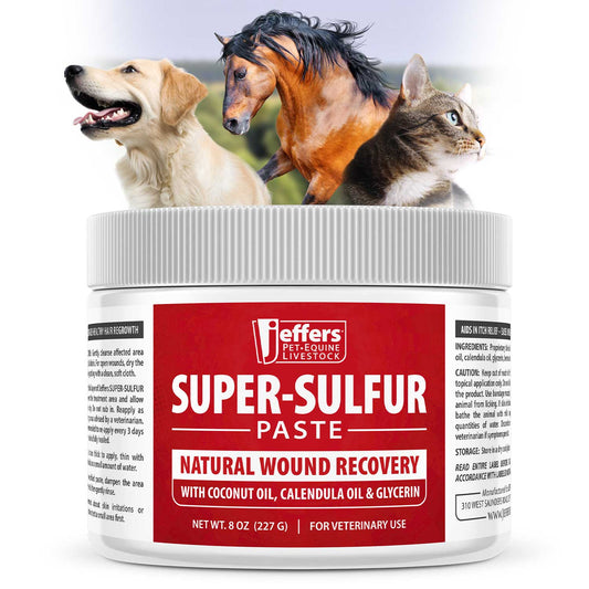 Jeffers Super-Sulfur Skin & Wound Healing Paste