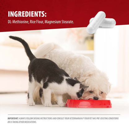Jeffers Uracid DL-Methionine Capsules for Cats & Dogs