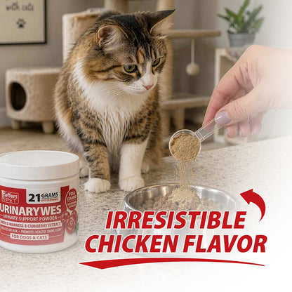 Jeffers Urinary Support Powder with D-Mannose for Cats & Dogs