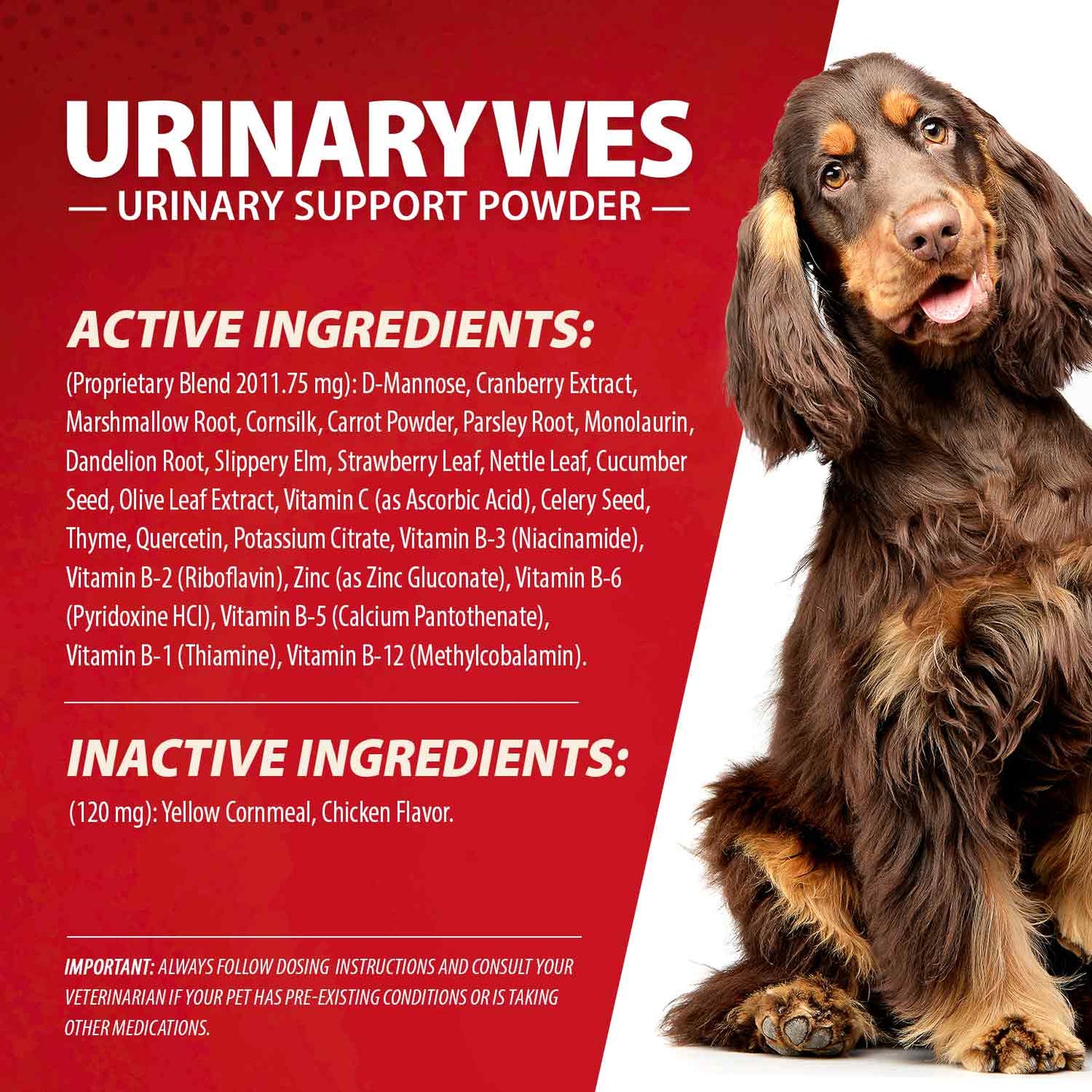 Jeffers Urinary Support Powder with D-Mannose for Cats & Dogs