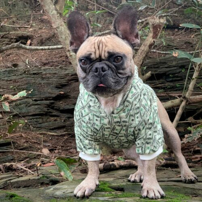 Dog outdoors wearing a money print hoodie beside fallen wood