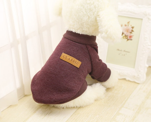 Brown pullover pet sweater with ribbed trim and a decorative back patch on a white plush dog