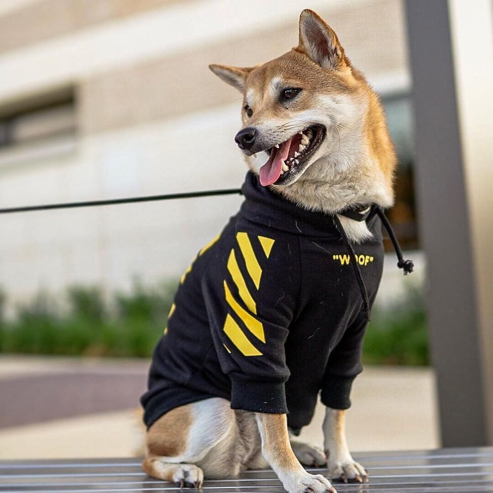 Dog sitting outdoors in a black WOOF hoodie with yellow sleeve graphics