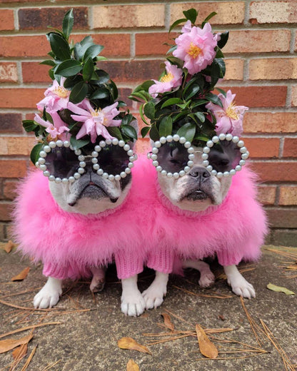 Two dogs in pink fluffy sweaters wearing floral headpieces and pearl-trimmed sunglasses beside a brick wall