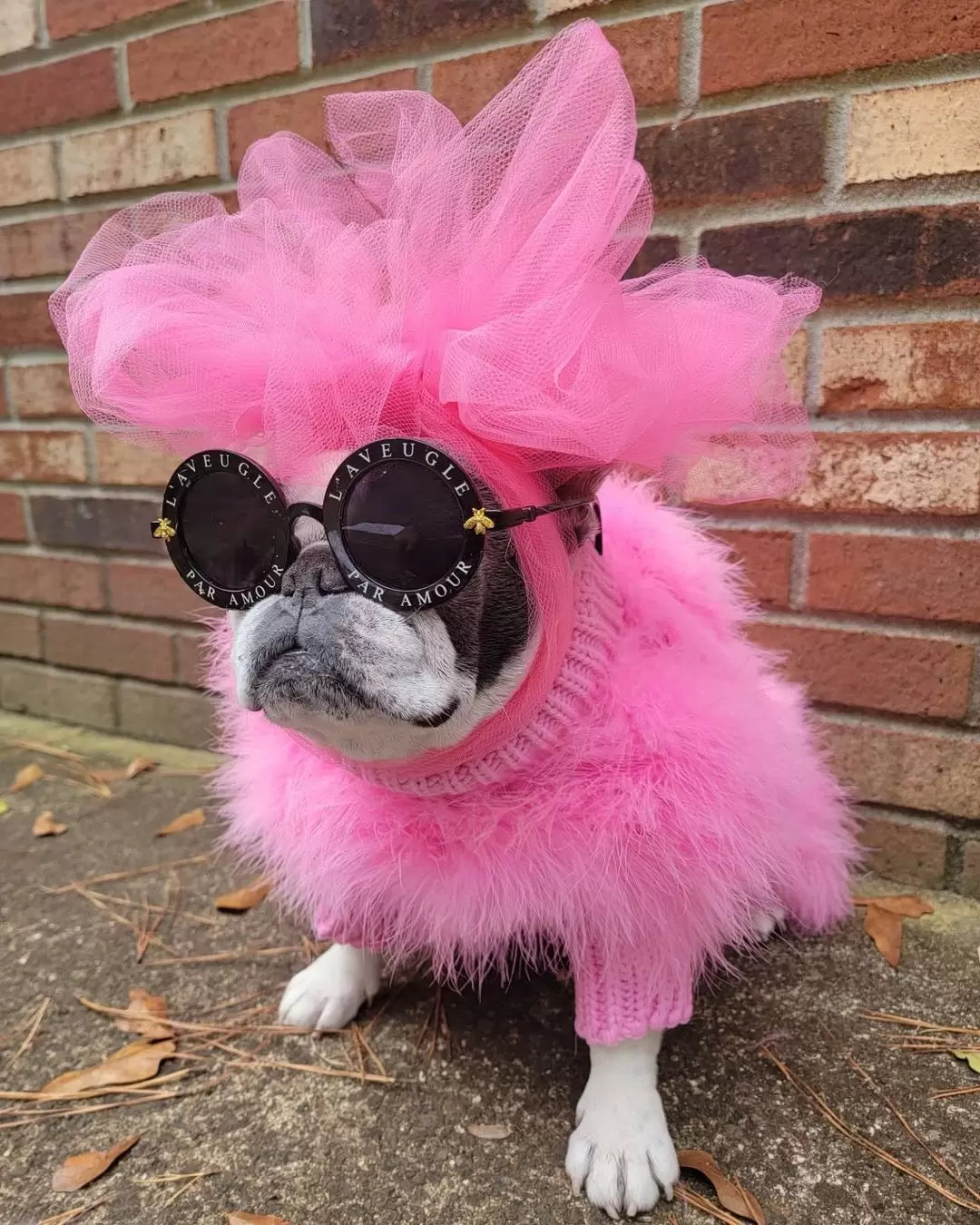 Dog wearing a pink fluffy sweater, round sunglasses and a large pink mesh headpiece beside a brick wall