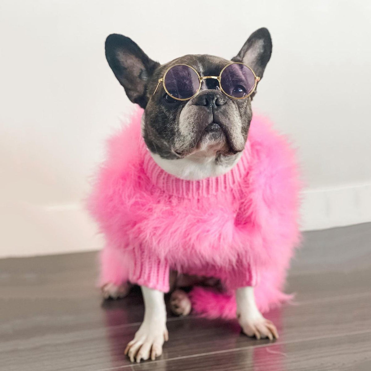 Dog wearing round sunglasses and a pink fluffy sweater with knitted cuffs indoors